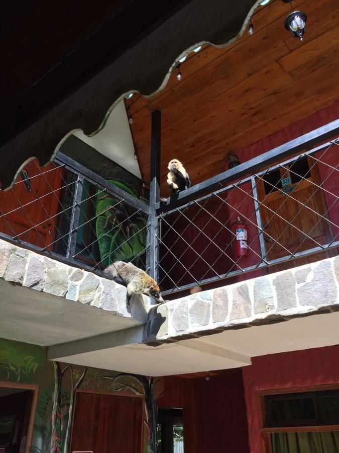 Manakin Lodge, Monteverde Cr Exterior photo